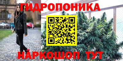 кокс Кулебаки