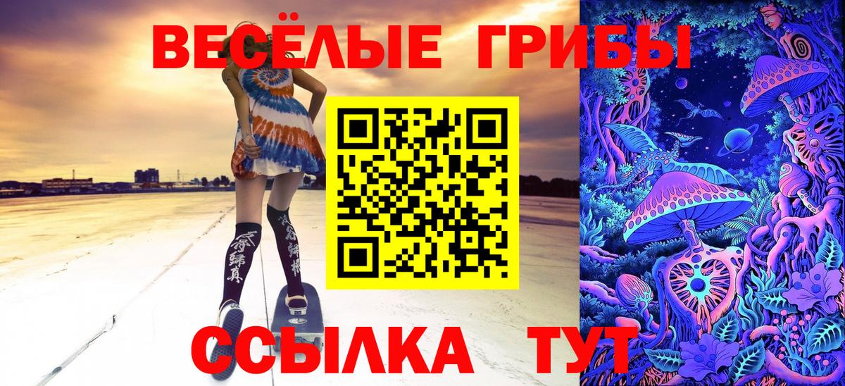 Псилоцибиновые грибы Psilocybe  что такое   Биробиджан  Вход с VPN 